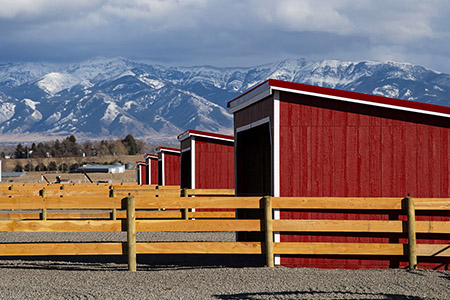 Horse Covered Drylots