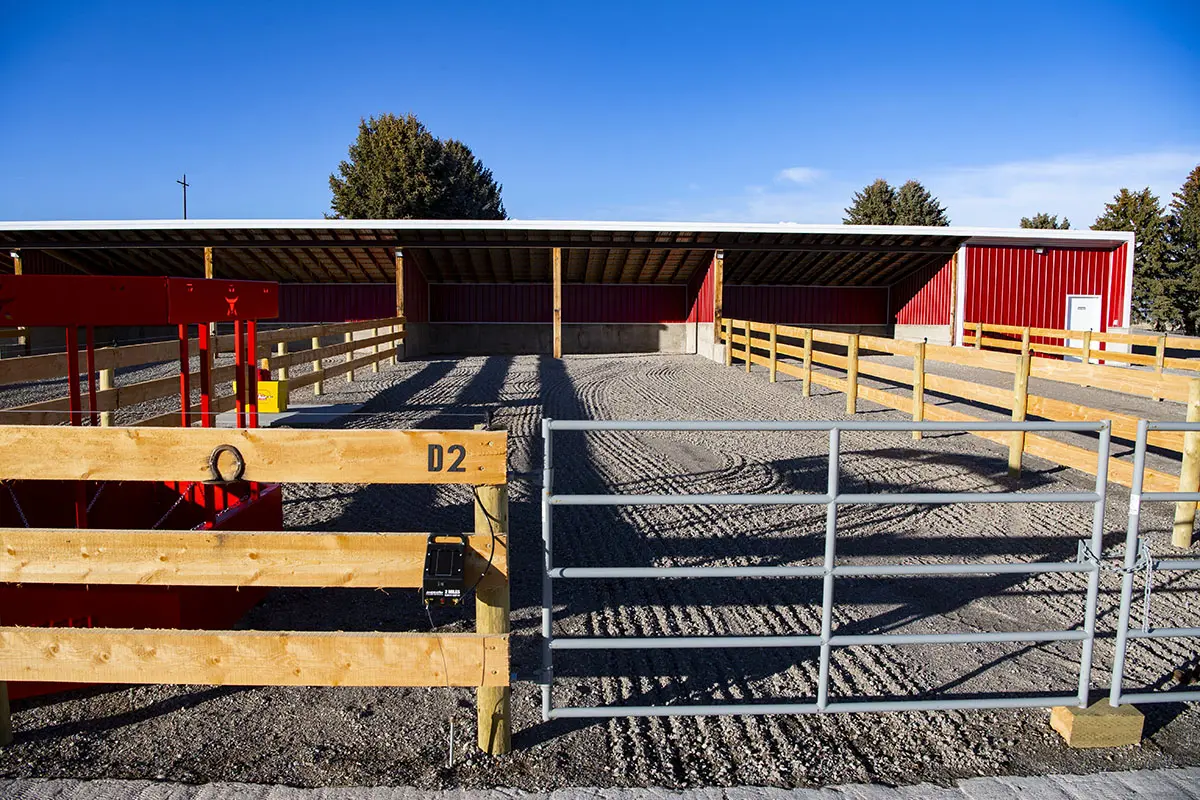 Montana Horse Boarding Facility Near Me